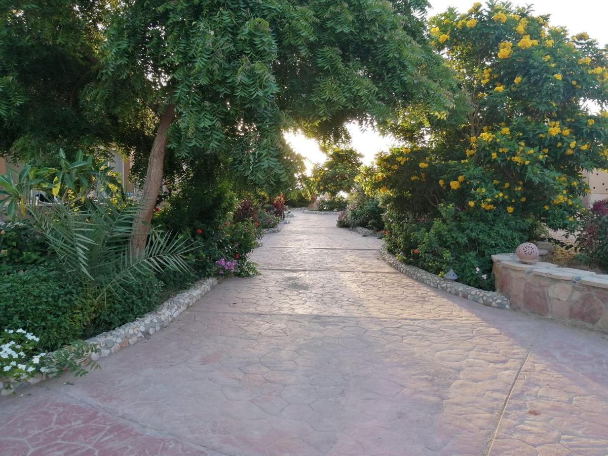 Silver Beach Boutique Hotel (Adults Only) El Qoseir Luaran gambar