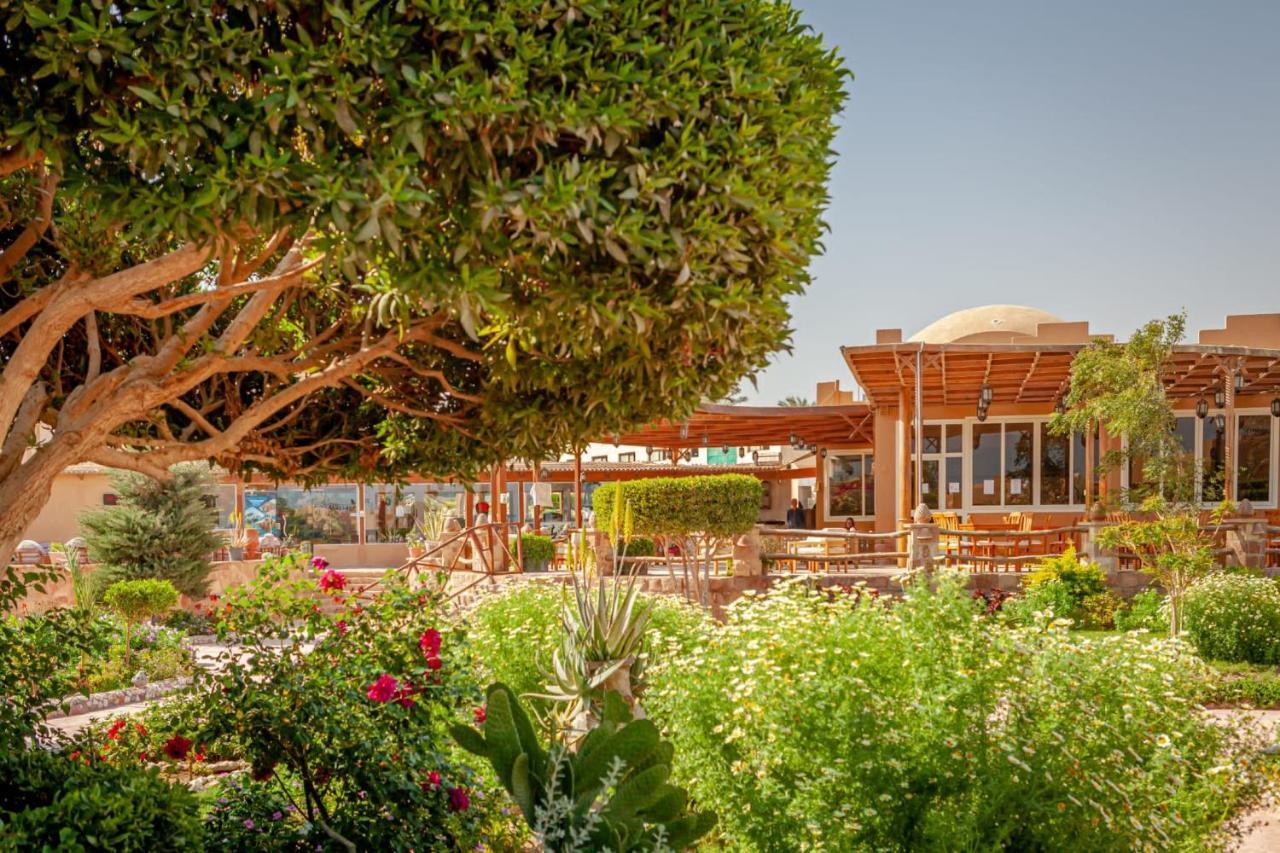 Silver Beach Boutique Hotel (Adults Only) El Qoseir Luaran gambar